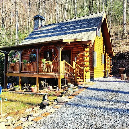 The Little Wolf Cabin Maggie Valley Buitenkant foto