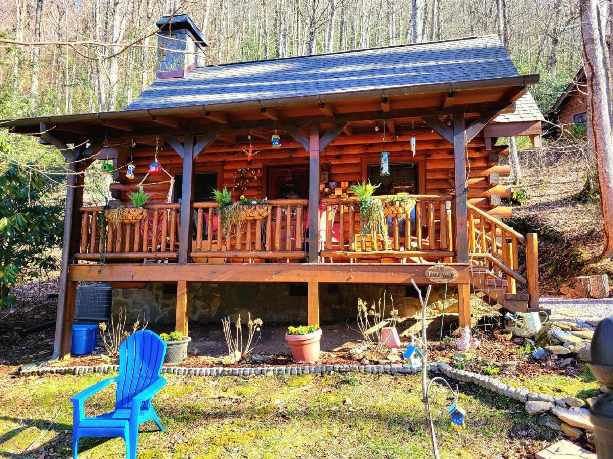 The Little Wolf Cabin Maggie Valley Buitenkant foto