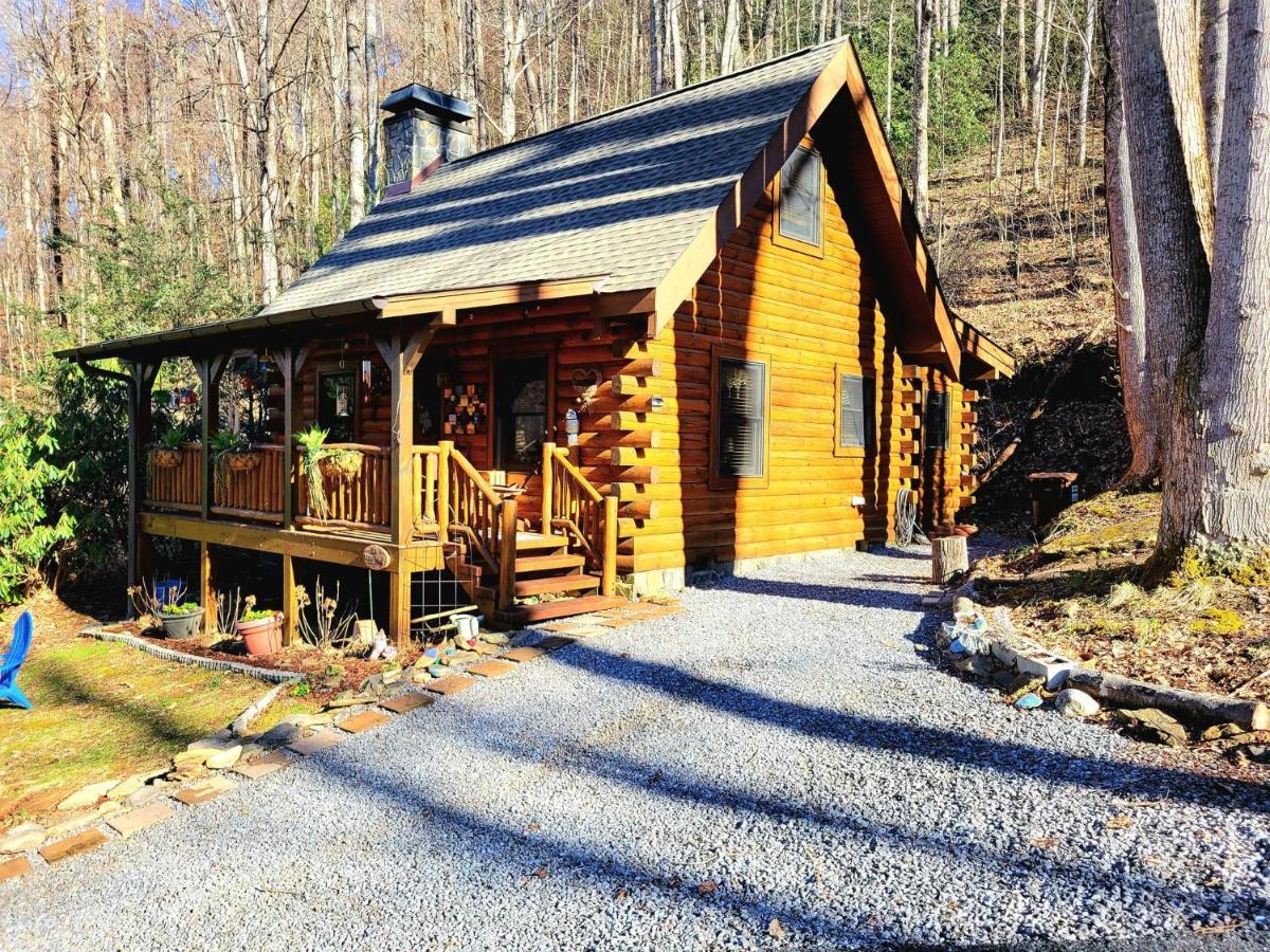 The Little Wolf Cabin Maggie Valley Buitenkant foto
